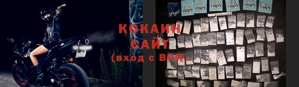 твердый Алзамай
