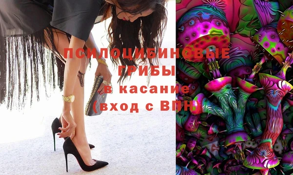 дмт Алексин