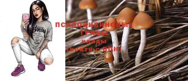 круглые Алексеевка