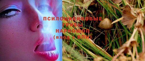 дмт Алексин
