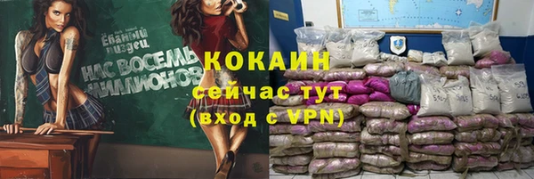 твердый Алзамай