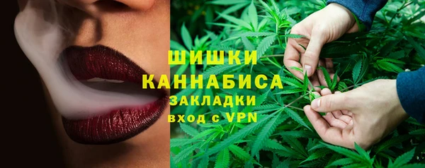 твердый Алзамай