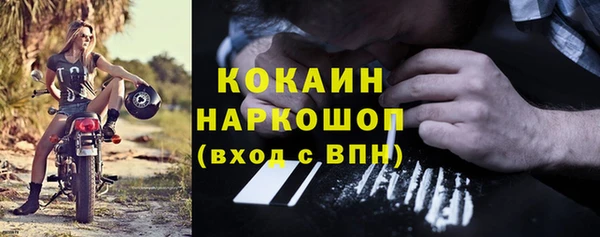 дмт Алексин
