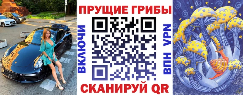 Купить закладки Калининск Псилоцибиновые грибы мицелий